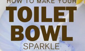 reviews of bowl sparkle toilet cleaner