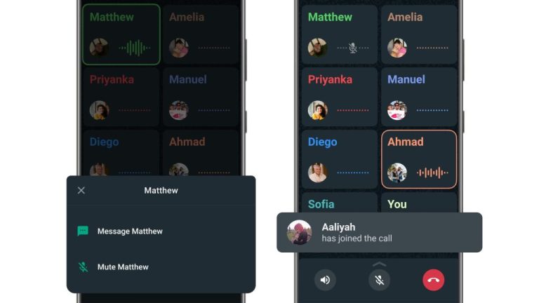 WhatsApp Adds Mute Button For Group Voice Call Participants